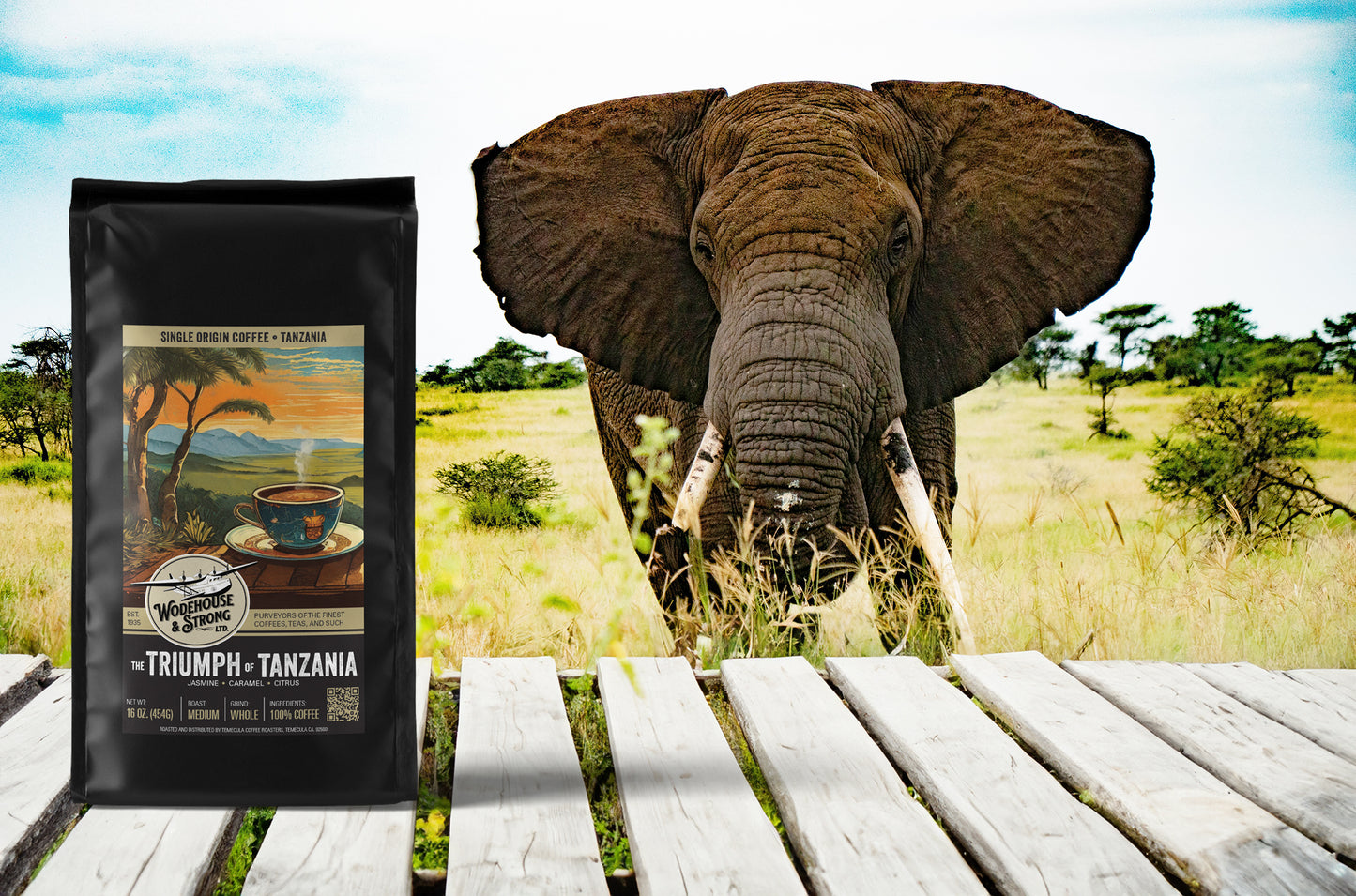 The Triumph of Tanzania- (Peaberry beans from Mount Kilimanjaro region, Med/Light Roast)